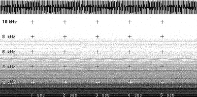 Spectrogram of AC signal